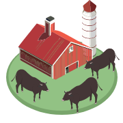 Wishing to clearly understand the cattle’s upbringing and care