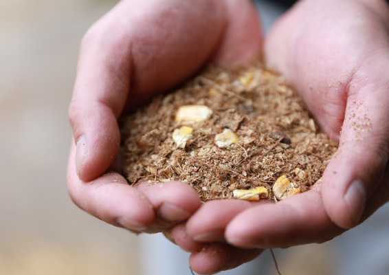 成長期に合わせ独自配合する飼料
